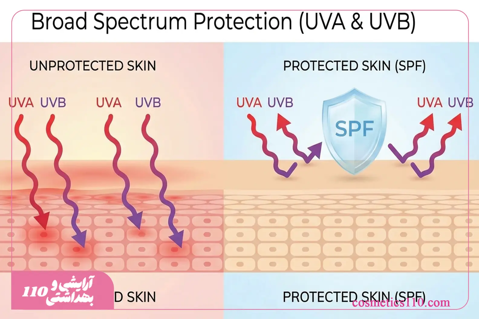 «مقایسه پوست بدون محافظ در برابر اشعه UVA و UVB با پوست محافظت‌شده توسط کرم ضدآفتاب SPF – سایت cosmetics110.com»